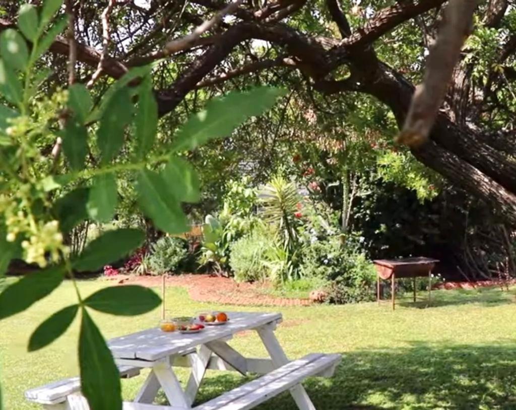Choice Backpackers Lodge 불라와요 외부 사진