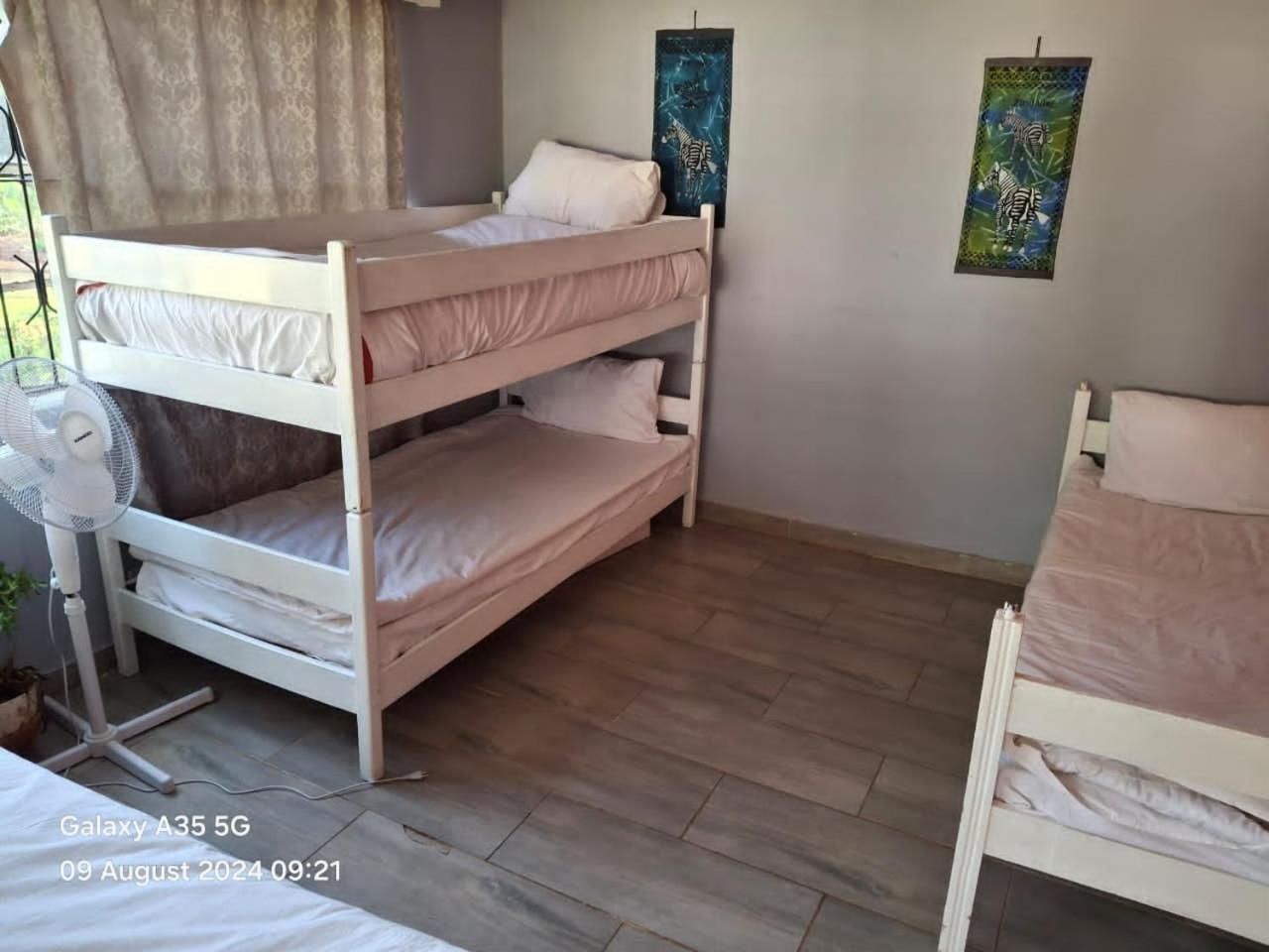 Choice Backpackers Lodge 불라와요 외부 사진
